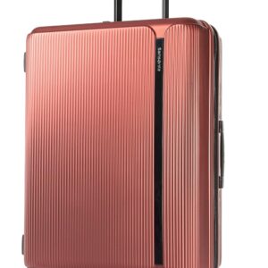 Samsonite Carry-On Travel Bag